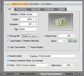 Pan/Crop Assistant: PiP